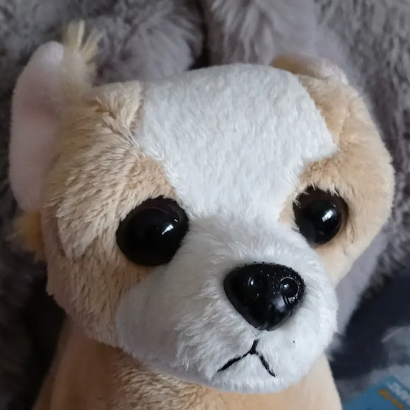 Webkinz chihuahua in pink purse - Picture 2 of 12